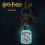 Harry Potter - Potion Bottle Light-Up Keychain